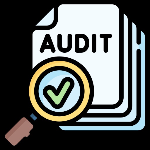 Audit and Assurance